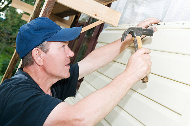 Best Basement Cleanout  in Mountain City, TN